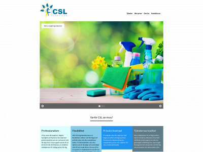 cslservices.se snapshot