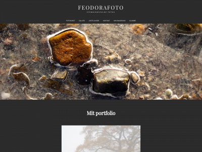 feodorafoto.dk snapshot