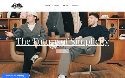 lucidfabrics.weebly.com snapshot