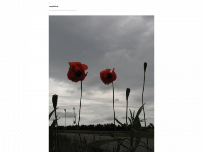 birgitdahl.dk snapshot