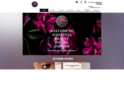 iconstyle.co.uk snapshot