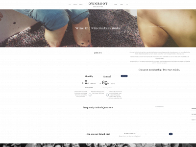 ownrootcollective.com snapshot