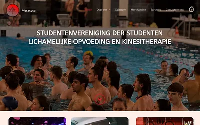 mesacosavub.com snapshot