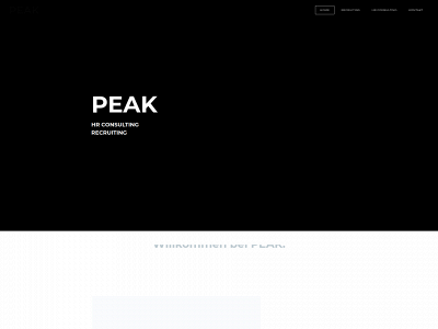 www.peak-consulting.at snapshot