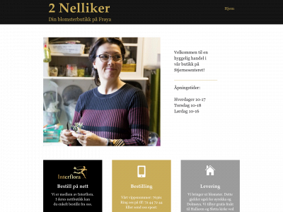 2nelliker.no snapshot