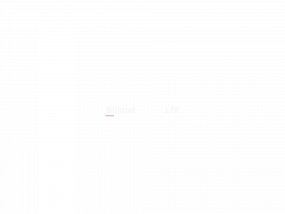 billundliv.dk snapshot