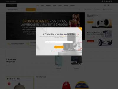 ertagas.lt snapshot