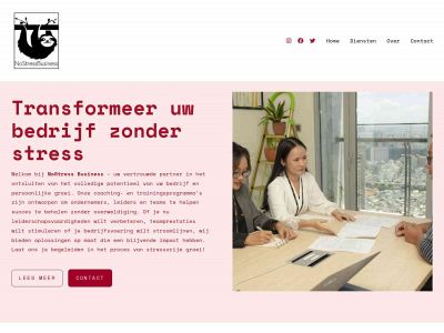 nostressbusiness.nl snapshot