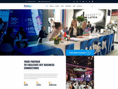 profexgroup.com snapshot