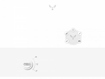 reachancy.ch snapshot