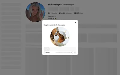 elvirahallqvist.se snapshot