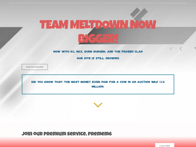 www.teammeltdown.net snapshot