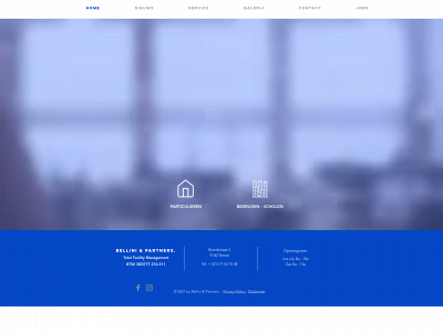 belliniandpartners.be snapshot
