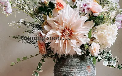 studiofemfleur.nl snapshot