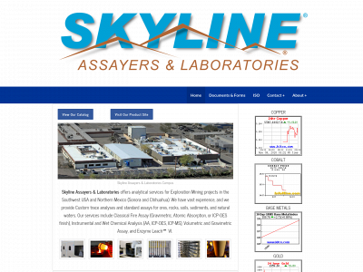 www.skylinelabs.com snapshot