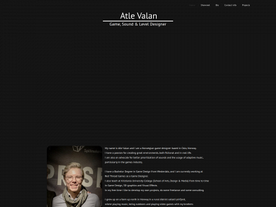 avalan.no snapshot