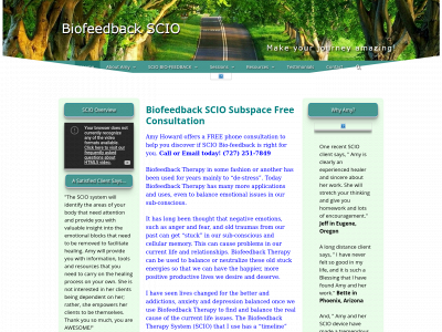 amyscio.com snapshot
