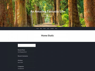 anamazingfantasticlife.com snapshot