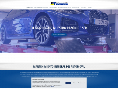 tecnesaavila.com snapshot