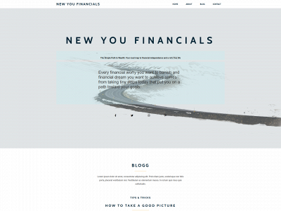 newyoufinancials.com snapshot