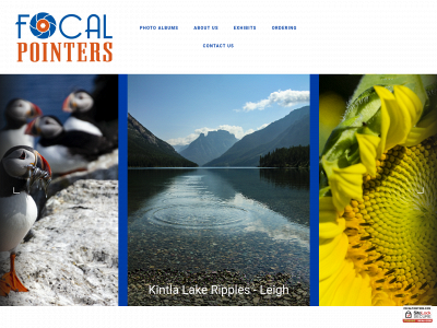 focalpointers.com snapshot