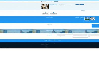accessptinfo.com snapshot