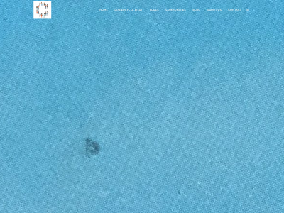 crowdeffect.nl snapshot
