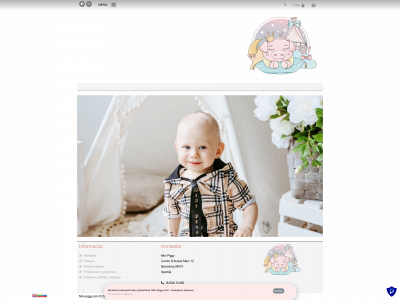 mini-piggy.com snapshot