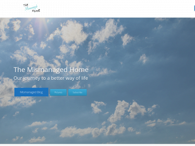 themismanagedhome.com snapshot