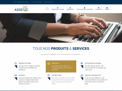 assistic.net snapshot