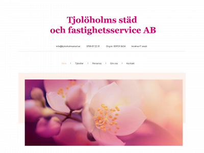 tjoloholmsstad.se snapshot
