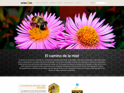 apromiel.com snapshot