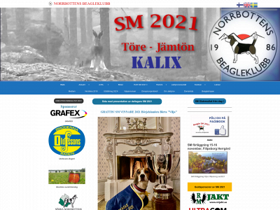 norrbottensbeagleklubb.se snapshot