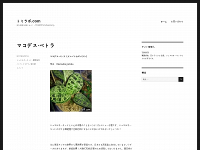 tommylabo.com snapshot
