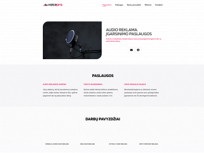 voicepro.lt snapshot