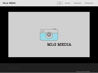 www.mlgmediallc.com snapshot