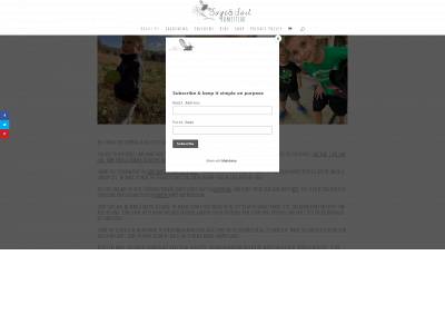 sageandsoil.com snapshot