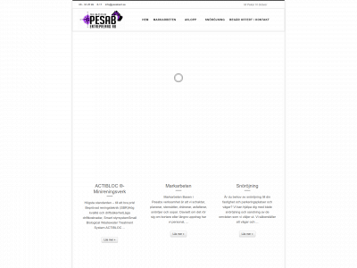 pesabent.se snapshot