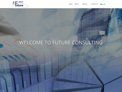 future-consultation.com snapshot