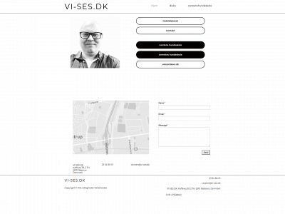 vi-ses.dk snapshot