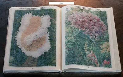 benaiahfrench.com snapshot