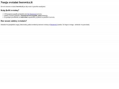 borowicz.lt snapshot