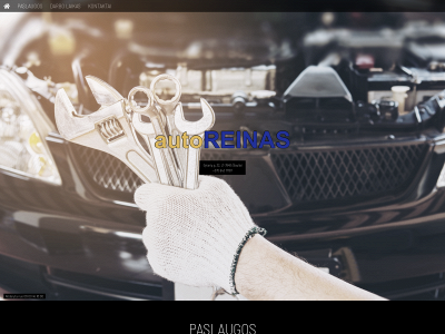autoreinas.lt snapshot