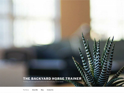 thebackyardhorsetrainer.com snapshot