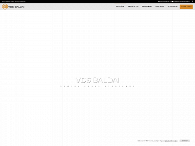 vdsbaldai.lt snapshot
