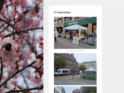 mimmiesblogg.se snapshot