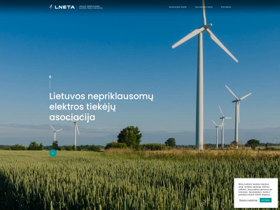 lneta.lt snapshot