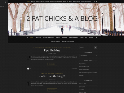 2fatchicksandablog.com snapshot