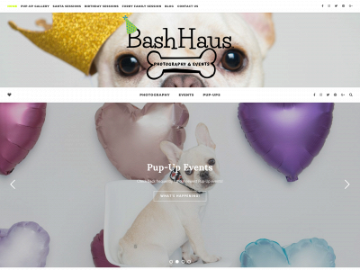 bashhausstudios.com snapshot