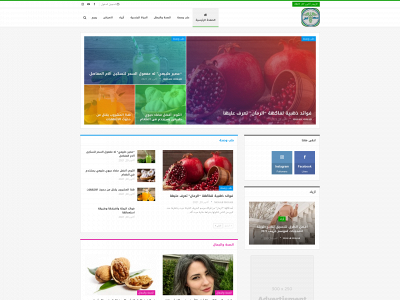 shetkkanz.com snapshot